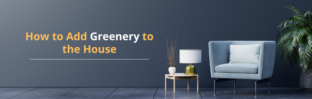 How to Add Greenery to the House