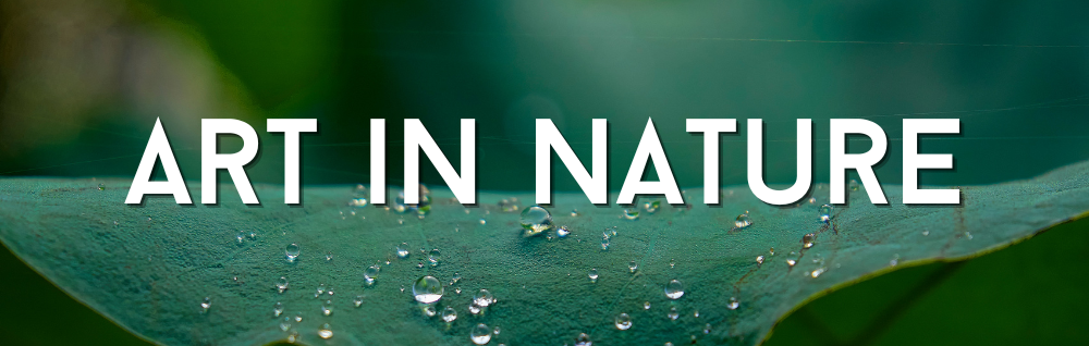 Art in Nature: Exploring Tree and Wolf Paintings as Wall Art