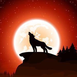 Wolf Art & Wolf Painting - Canvas Wall Decor