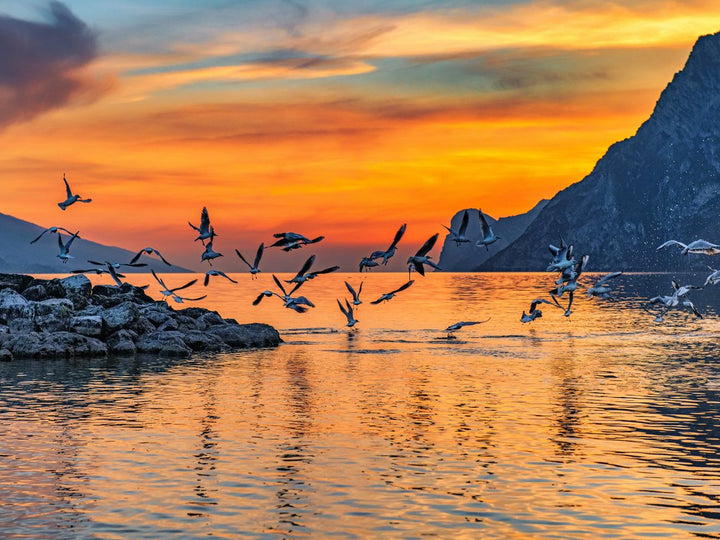 Sunset At Lake Garda In Italy Canvas Wall Art