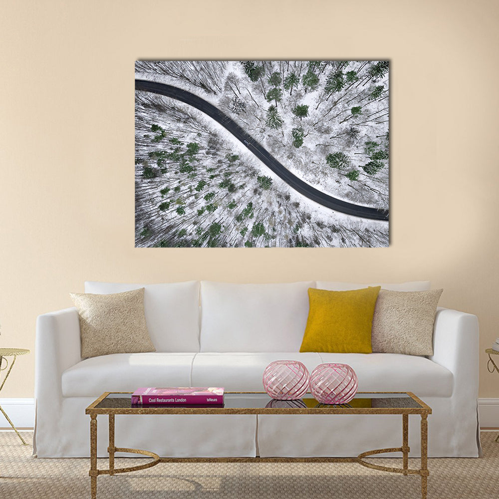 Winter Road In Snowy Forest Canvas Wall Art