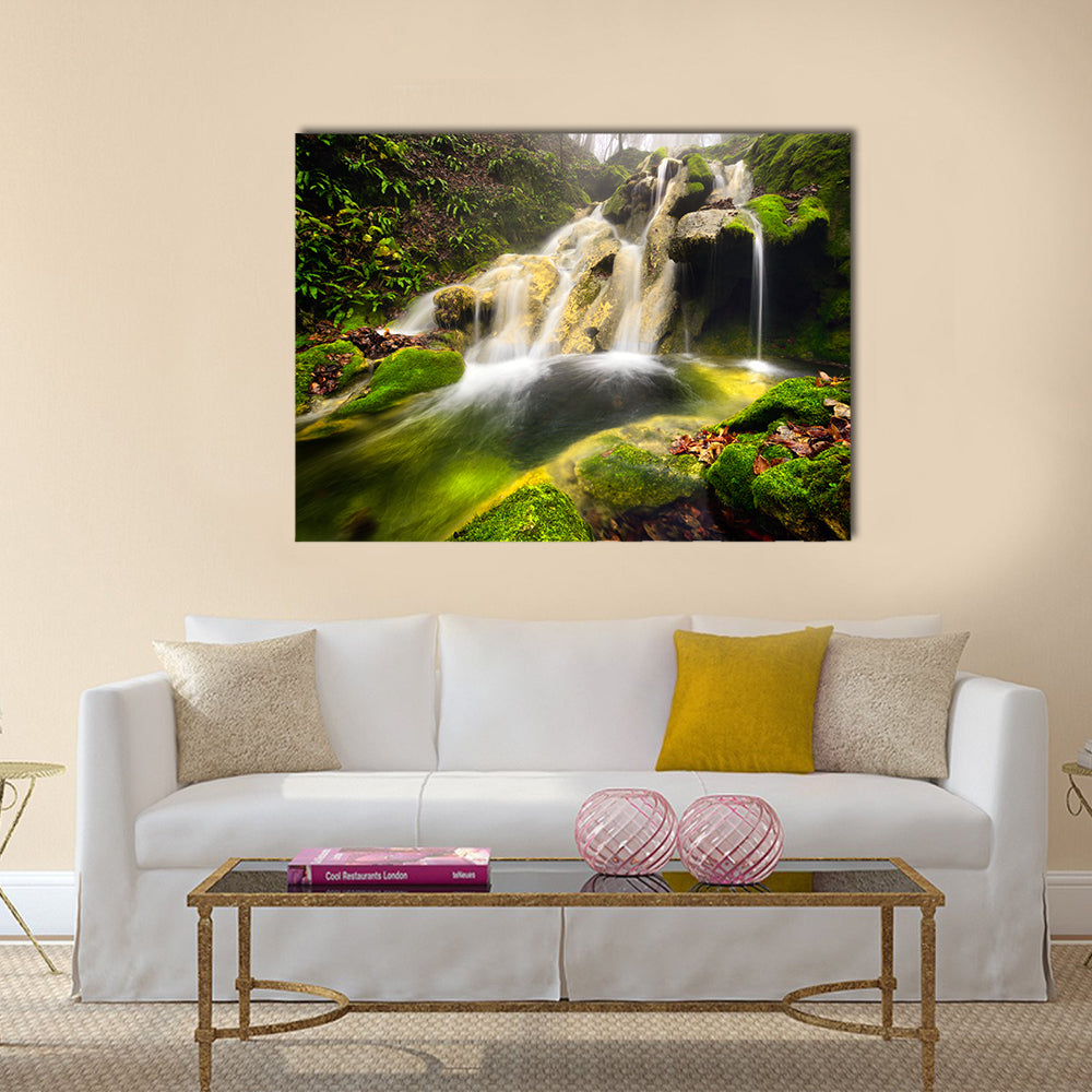 Forest Waterfall with Moss-covered Rocks Canvas Wall Art