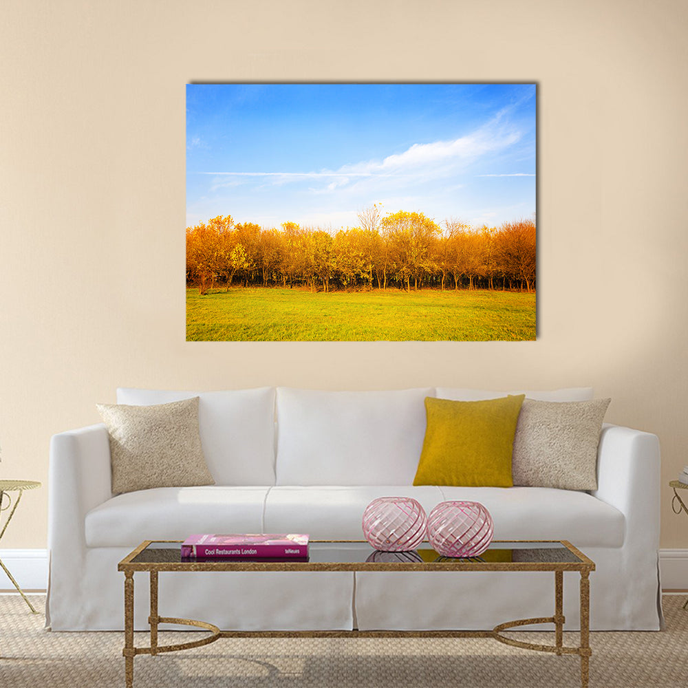 Autumn Meadow with Golden Leaves Canvas Wall Art