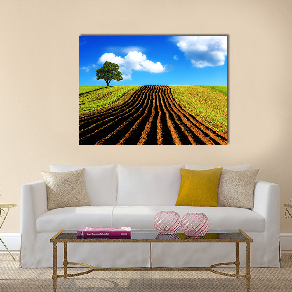 Ploughed Field with Lone Tree Canvas Wall Art