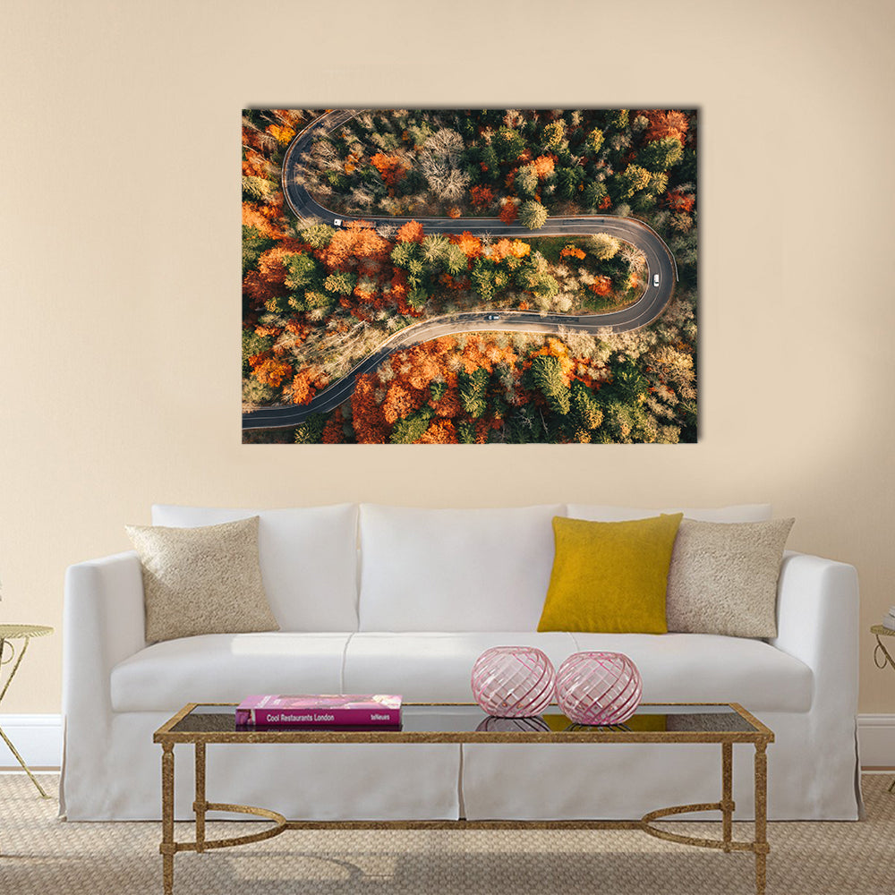 Winding Mountain Road Through Forest In Autumn Canvas Wall Art