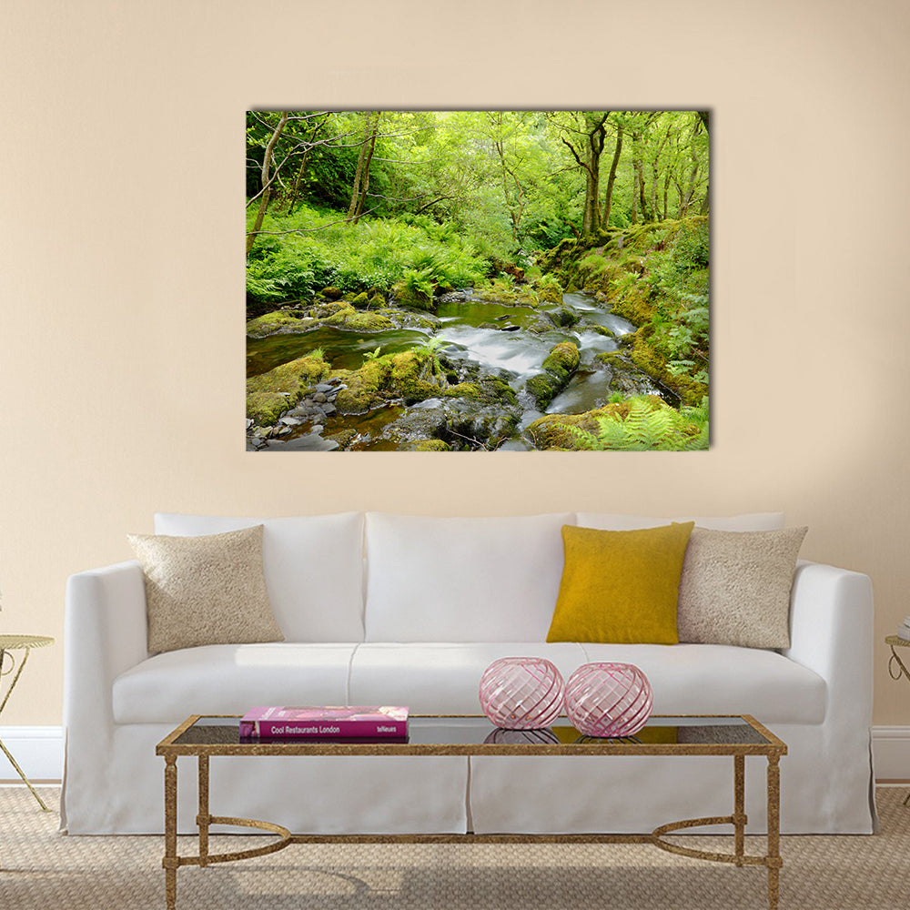 Dolgoch Falls In Wales UK Canvas Wall Art
