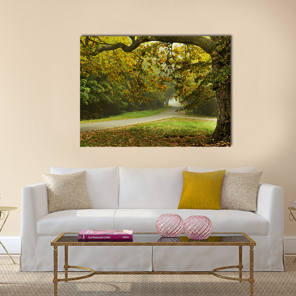 Misty Autumn Forked Path Canvas Wall Art