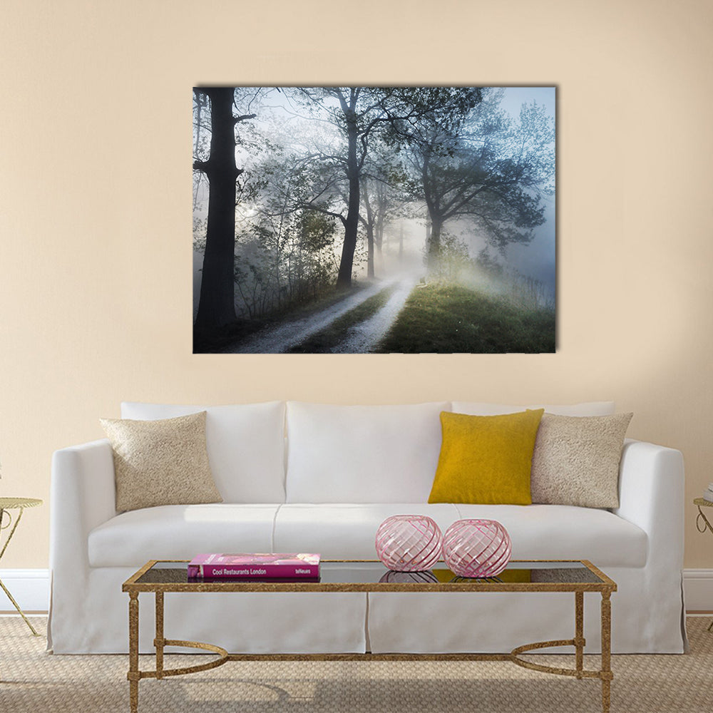 Foggy Forest Path at Sunrise Canvas Wall Art