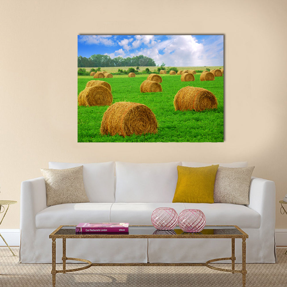 Hay Bales in a Field Canvas Wall Art