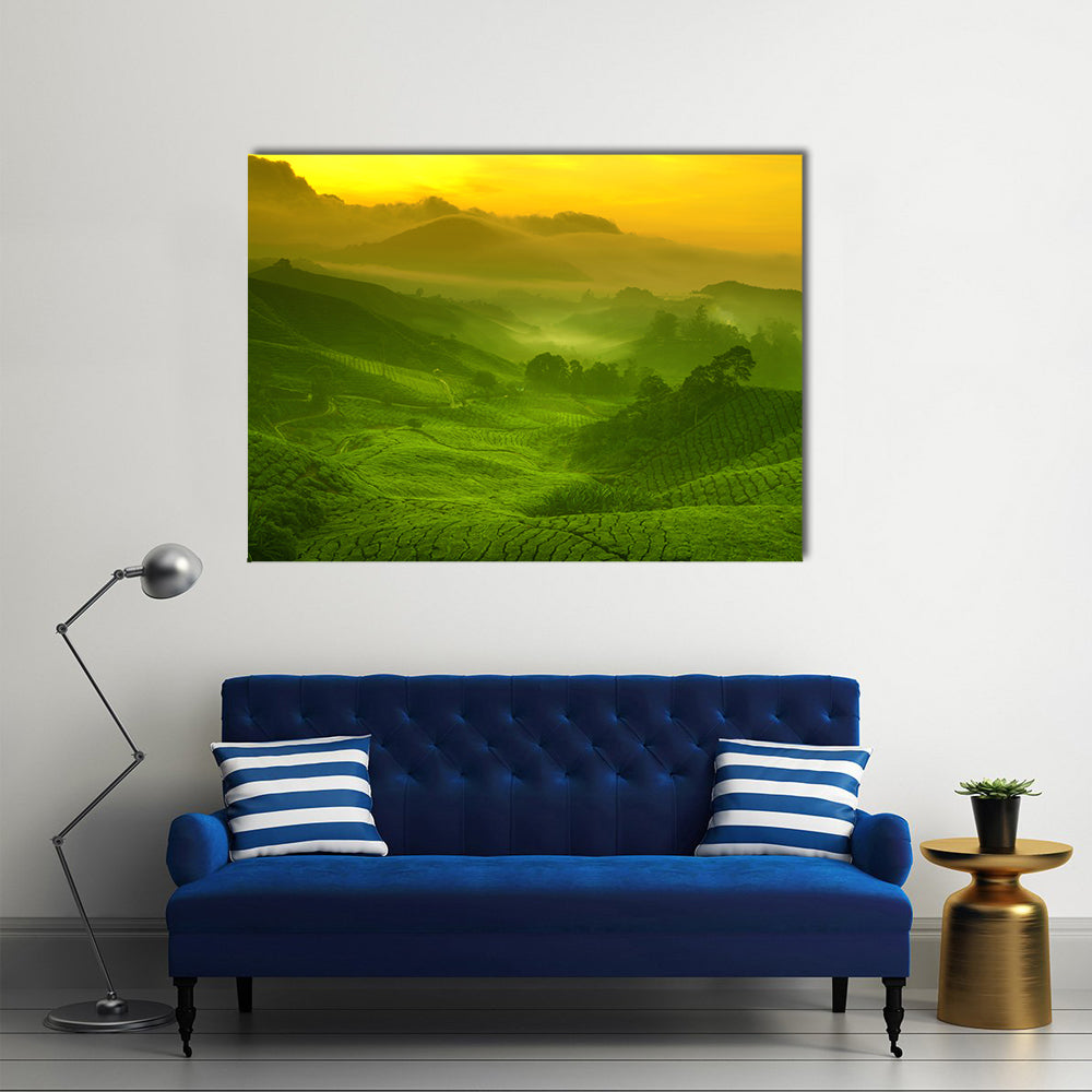 Tea Plantation In Cameron Highland At Sunrise Canvas Wall Art