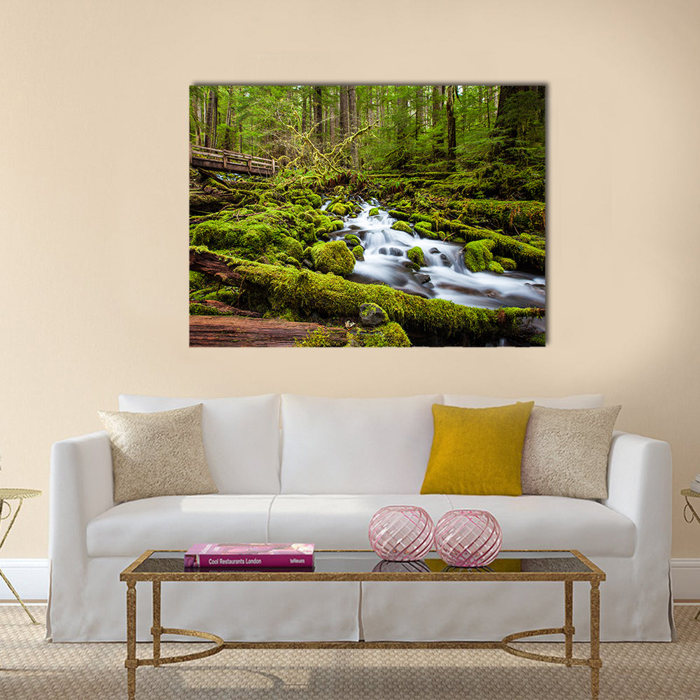 Sol Duc Falls Trail In Olympic National Park Canvas Wall Art