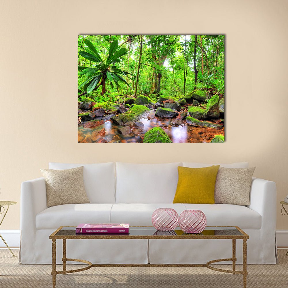 Masoala National Park in Madagascar Canvas Wall Art