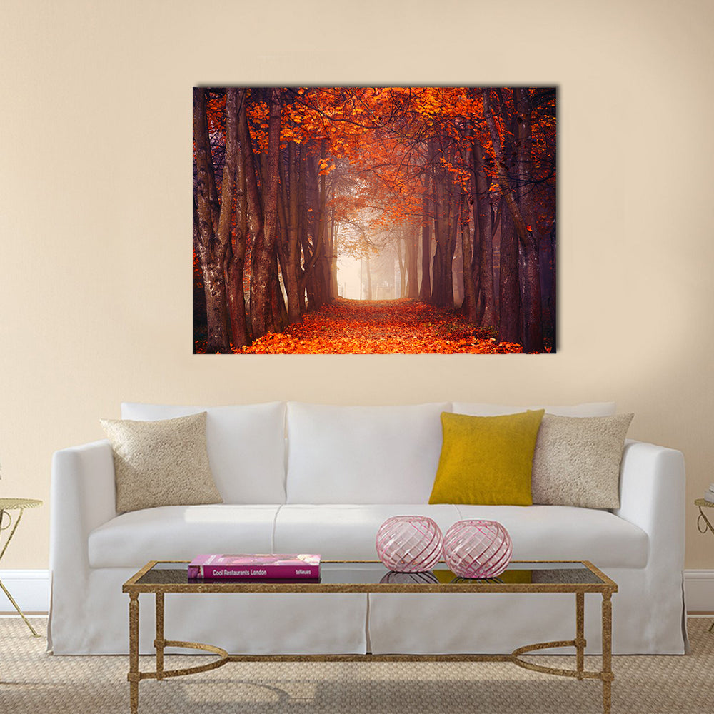 Autumn Misty Forest Canvas Wall Art