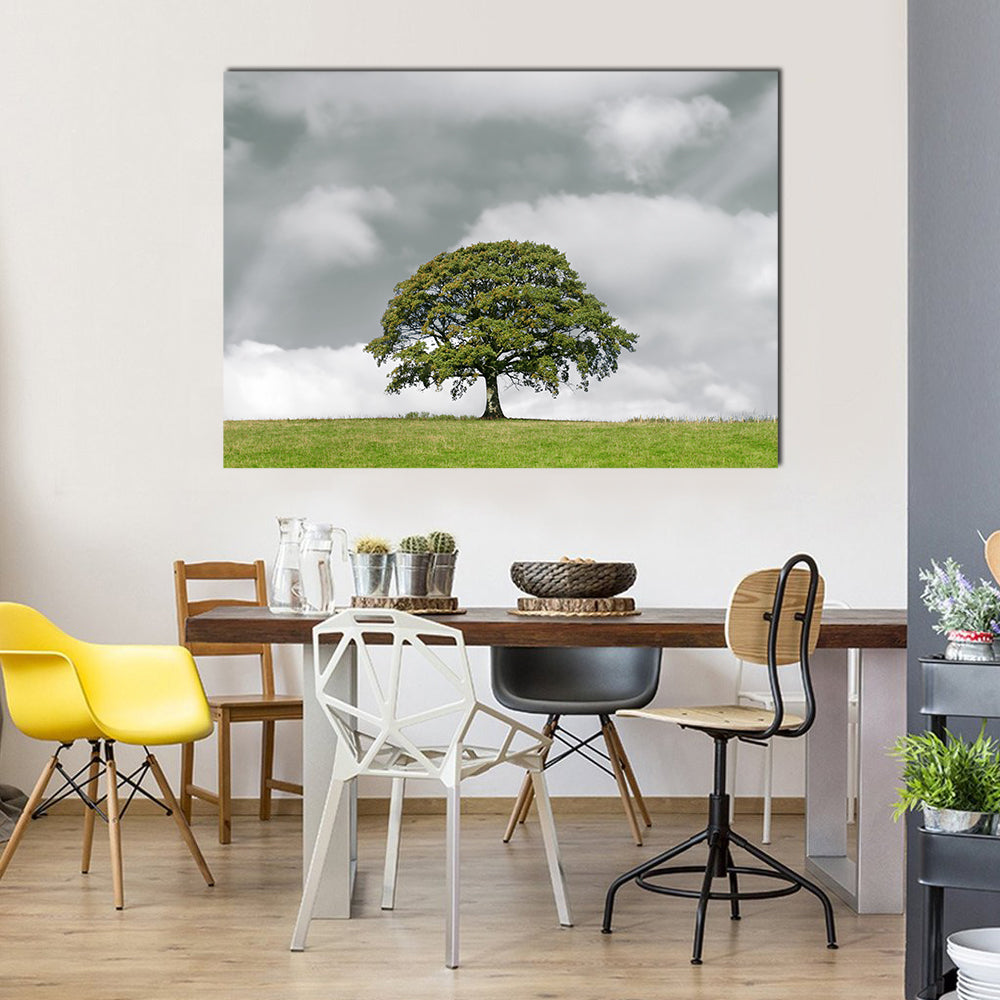 Summer Oak on Grassy Hill Canvas Wall Art