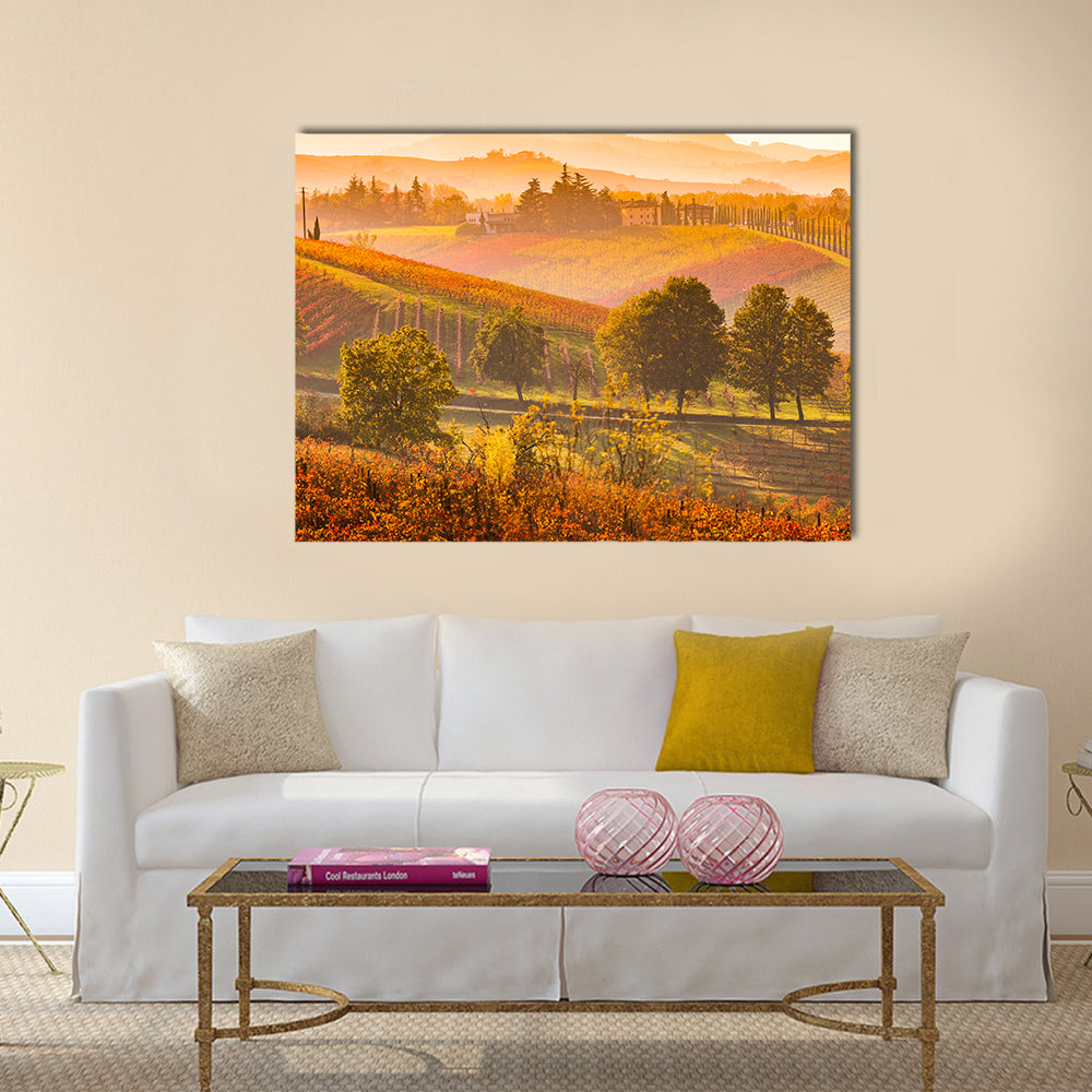 Italian Vineyards and Rolling Hills Canvas Wall Art