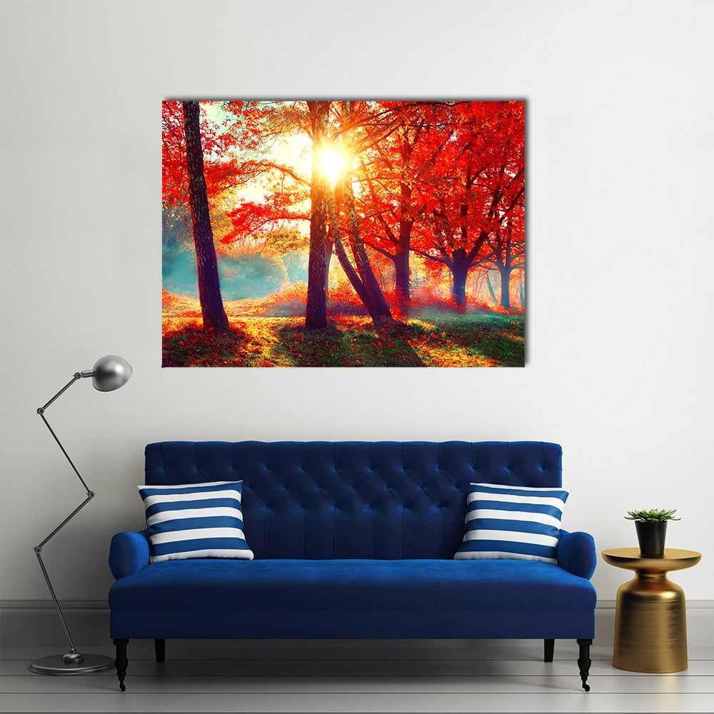 Beautiful Autumnal Park Canvas Wall Art