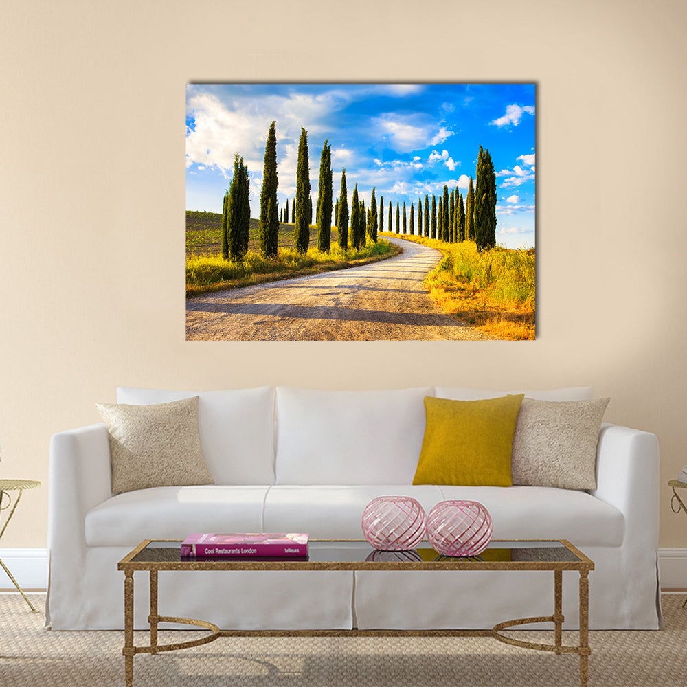 Tuscany Cypress Trees Along Winding Road Canvas Wall Art
