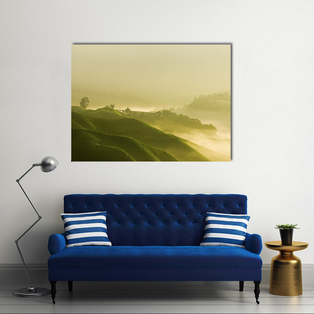 Tea Plantation At Cameron Highland Malaysia Canvas Wall Art