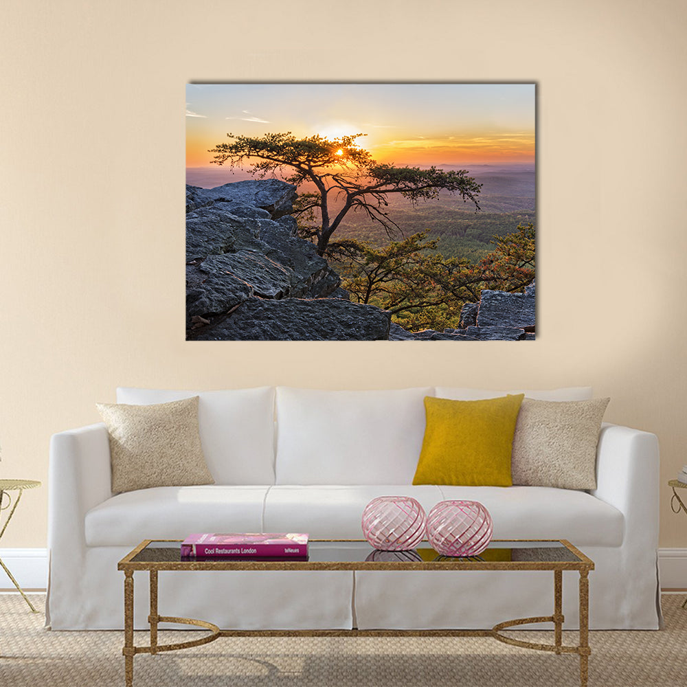 Gnarled Tree at Sunset Overlook Canvas Wall Art