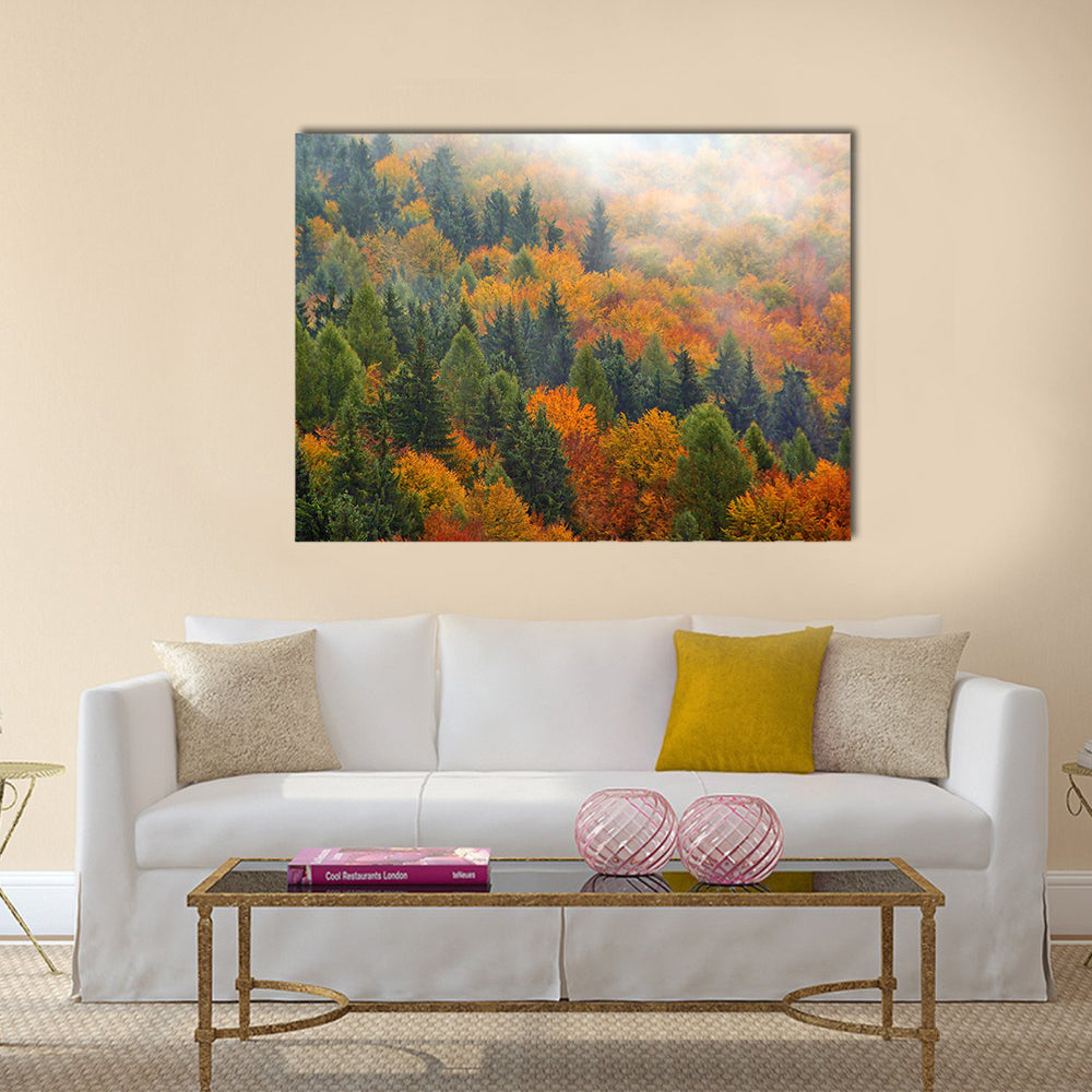 Foggy Autumn Forest In Romania Canvas Wall Art