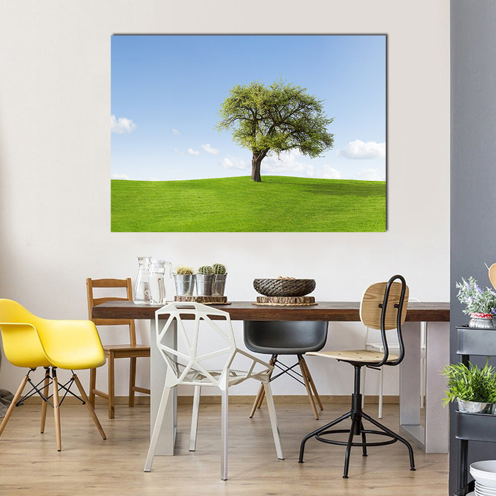 Solitary Tree on Sunny Green Hill Canvas Wall Art