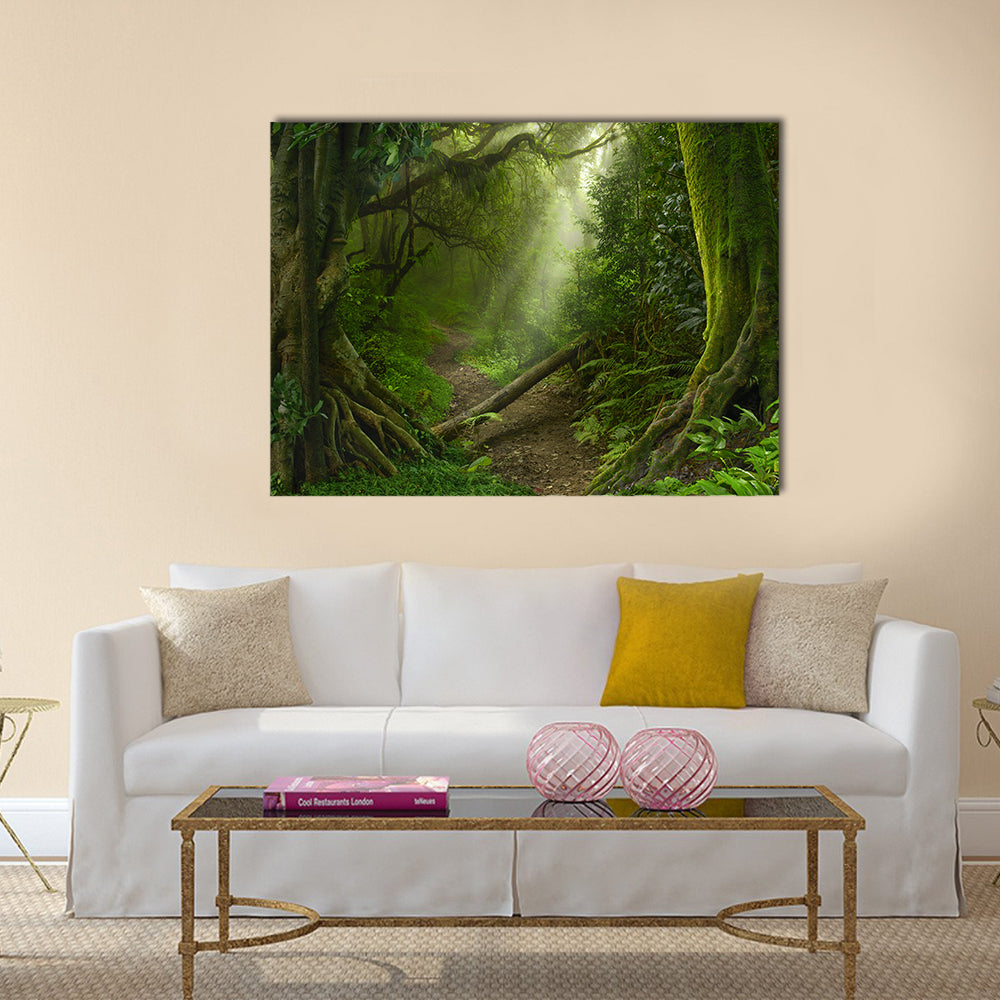 Asian Rain Forest With Sun Rays Canvas Wall Art