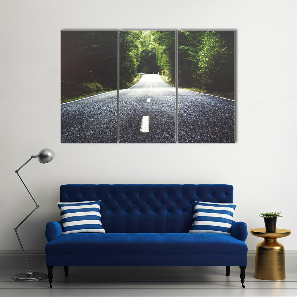 Summer Country Road Through Forest Canvas Wall Art