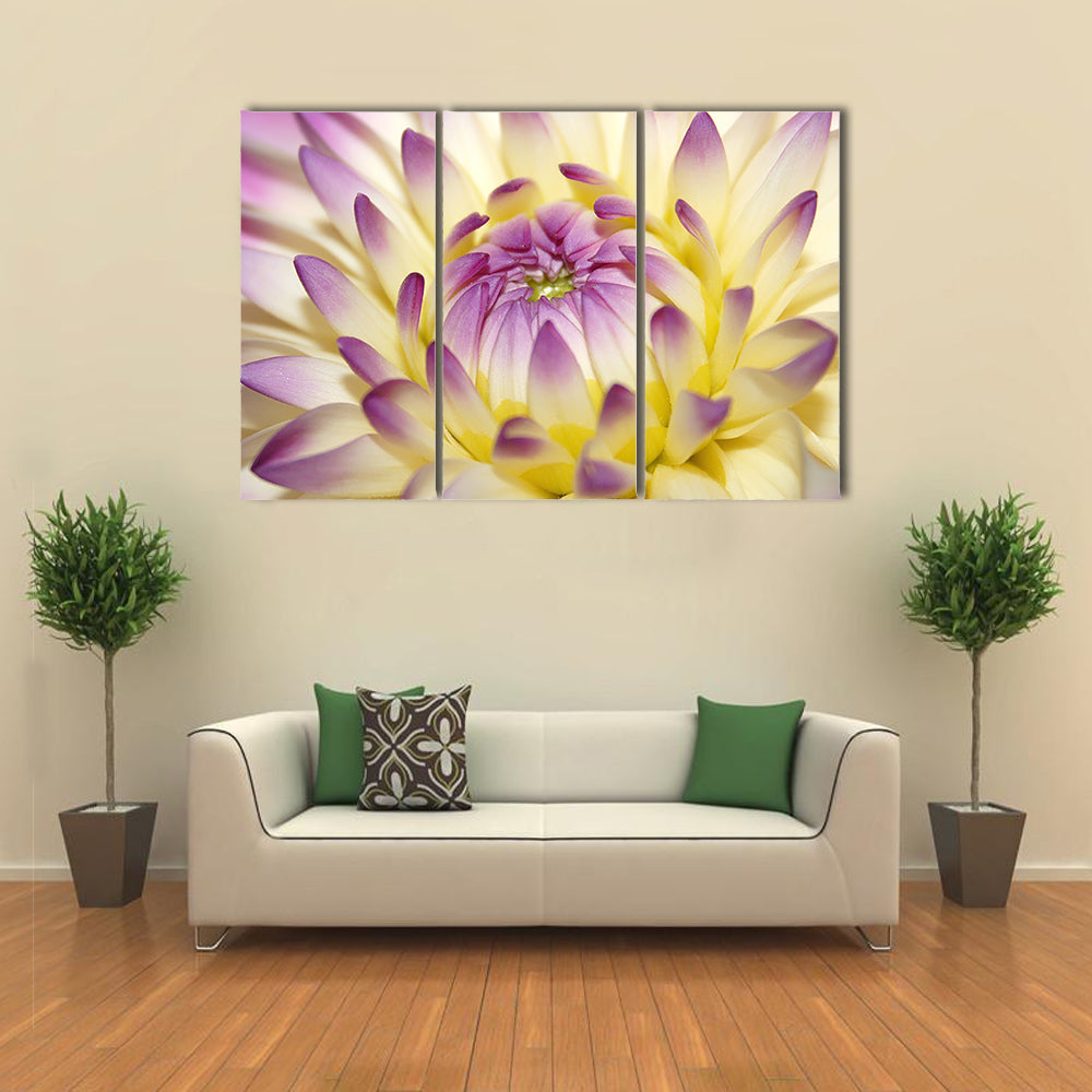 Macro Pink Flower Canvas Wall Art