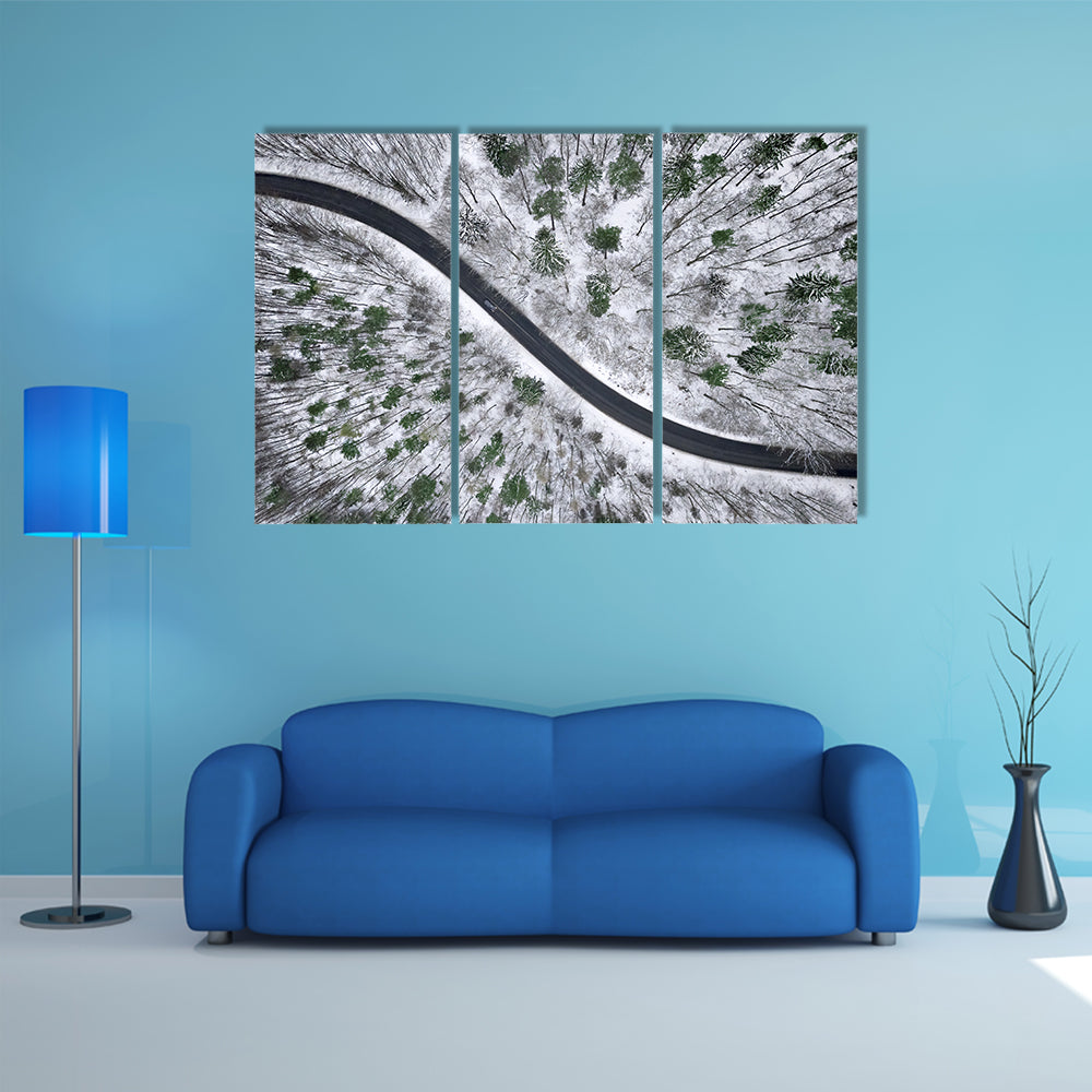 Winter Road In Snowy Forest Canvas Wall Art