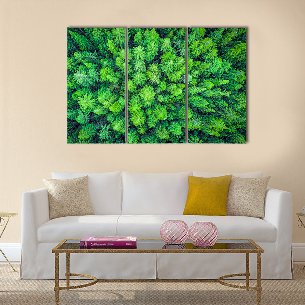 Aerial View Of Redwood Whakarewarewa Forest Canvas Wall Art