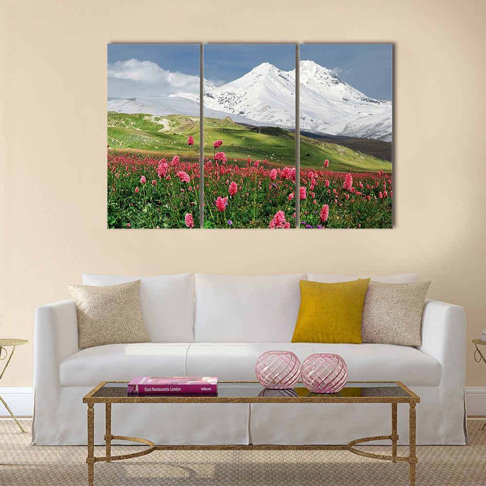 Blooming Flowers in Alpine Meadow Canvas Wall Art