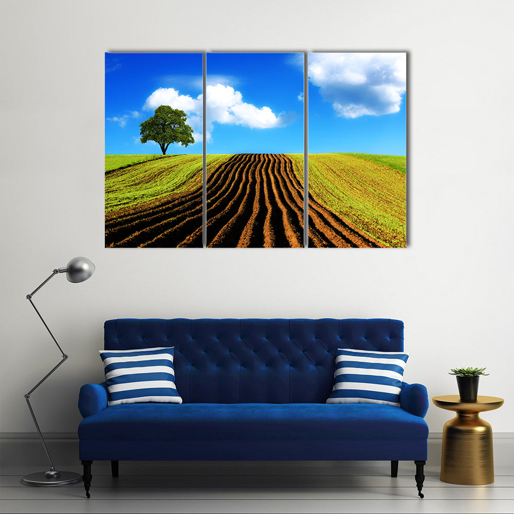 Ploughed Field with Lone Tree Canvas Wall Art