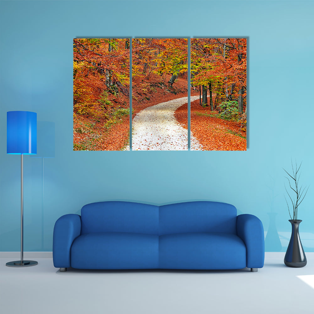 Autumn Misty Forest In Fall Canvas Wall Art