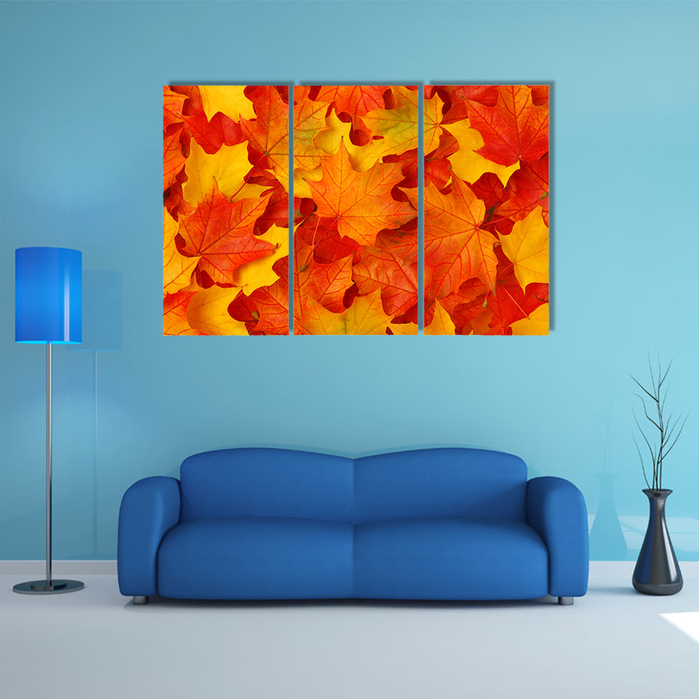 Fall Maple Leaves Canvas Wall Art