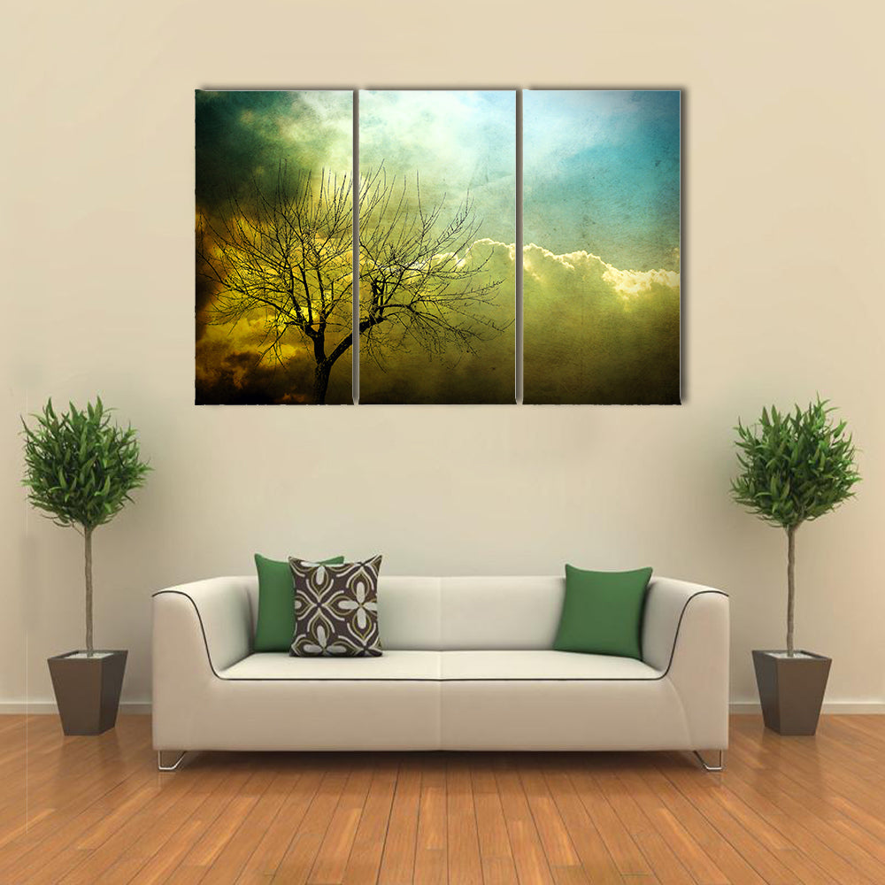 Grunge Leafless Tree with Backlit Clouds Canvas Wall Art