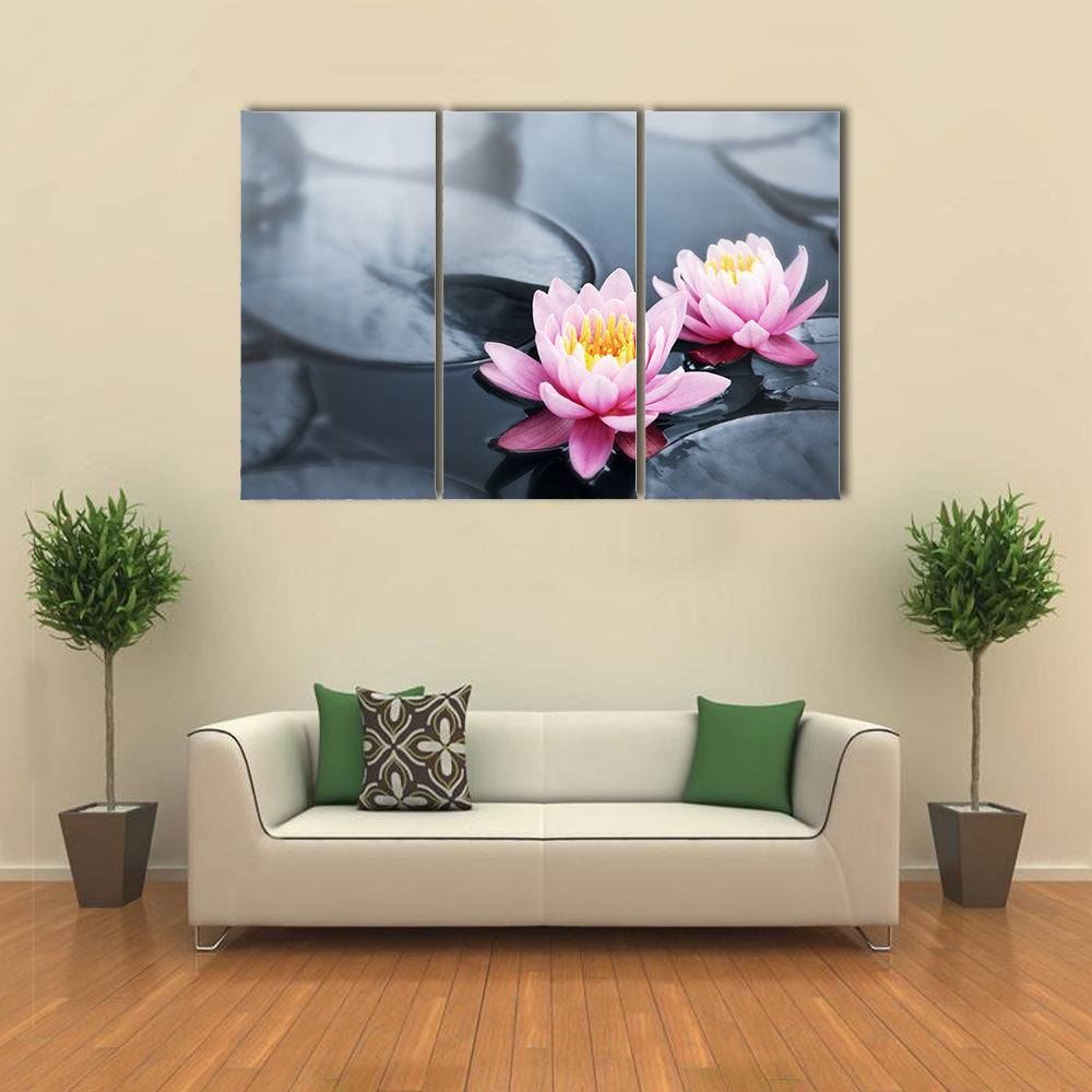 Pink Lotus Blossoms Canvas Wall Art