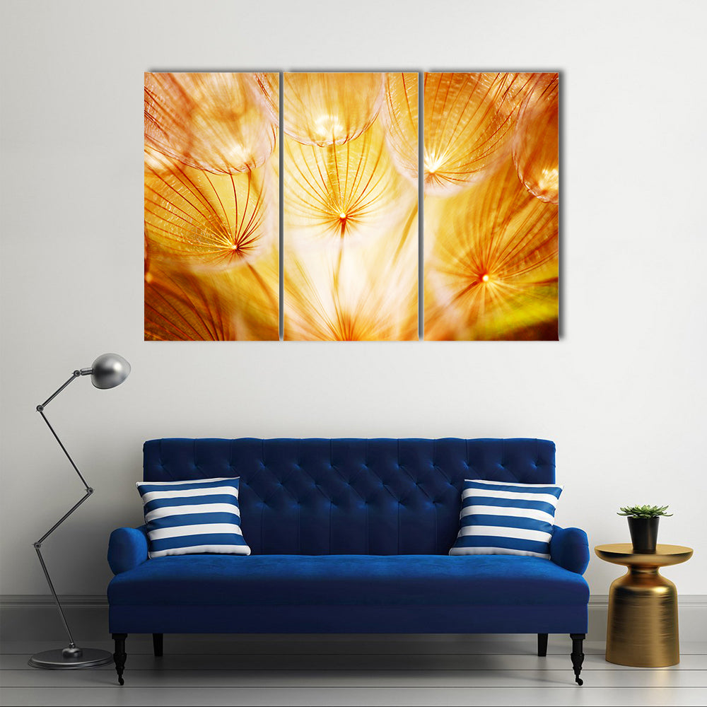 Soft Dandelion Flower Canvas Wall Art