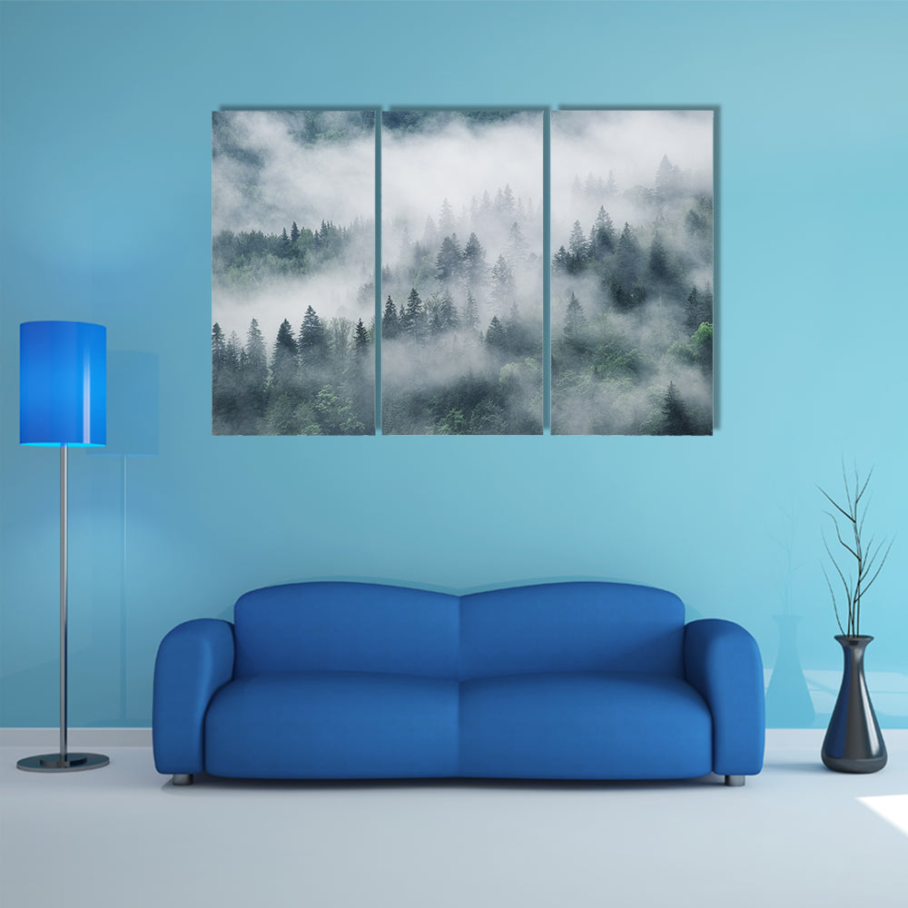 Foggy Forest In The Mountains Canvas Wall Art