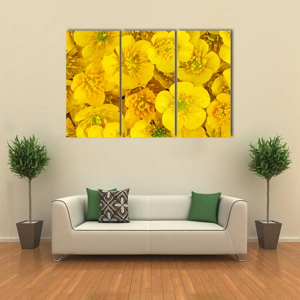 Yellow Wild Buttercups Canvas Wall Art