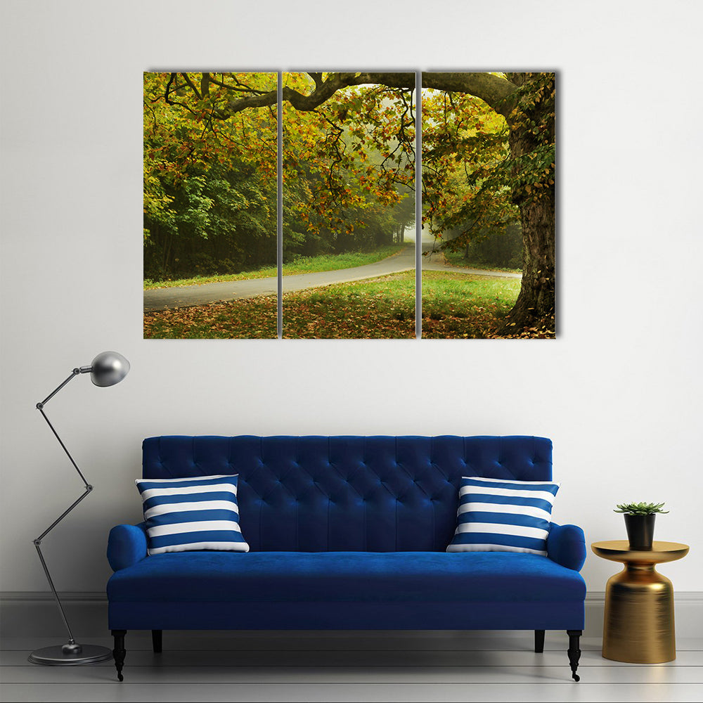 Misty Autumn Forked Path Canvas Wall Art