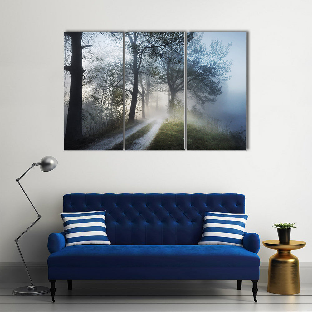 Foggy Forest Path at Sunrise Canvas Wall Art