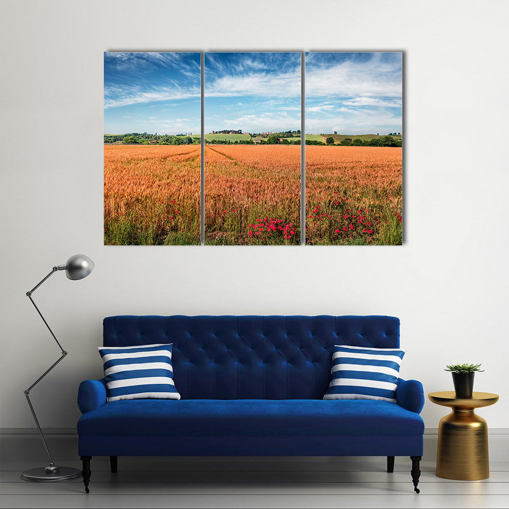 Wheat Field In Tuscany Canvas Wall Art
