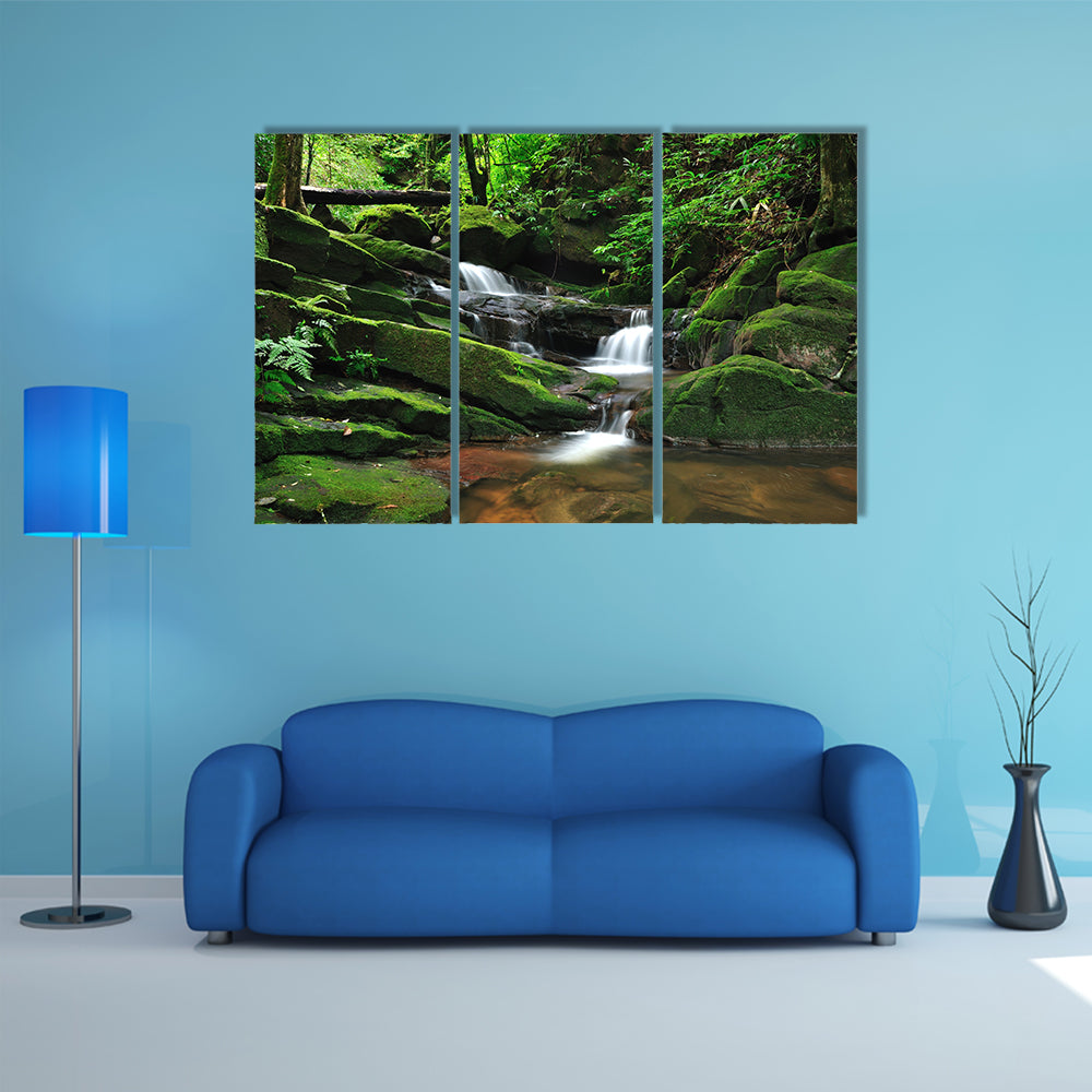 Waterfall In Rain Forest Canvas Wall Art