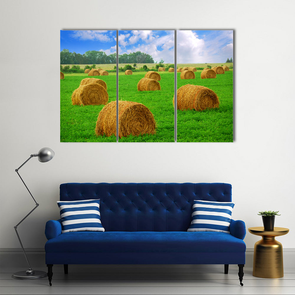Hay Bales in a Field Canvas Wall Art