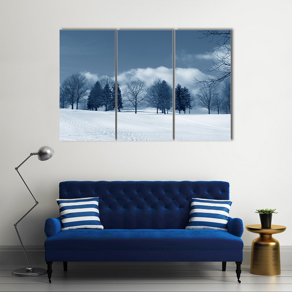 Snowy Field with Evergreens and Tracks Canvas Wall Art
