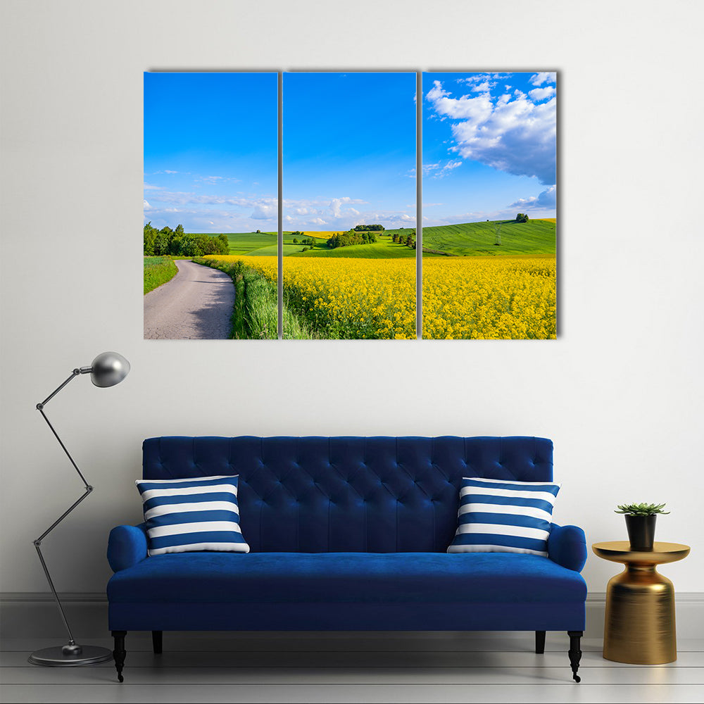 Oilseed field In Italian Countryside Canvas Wall Art