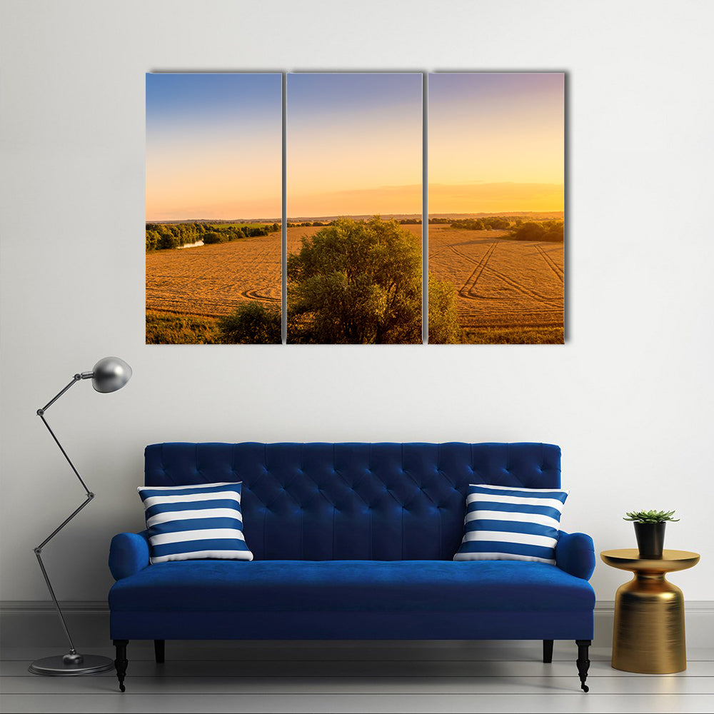 Sunset Over Golden Field with Curved Tracks Canvas Wall Art