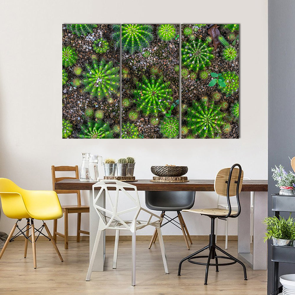 Cactus Plants Close-up Canvas Wall Art