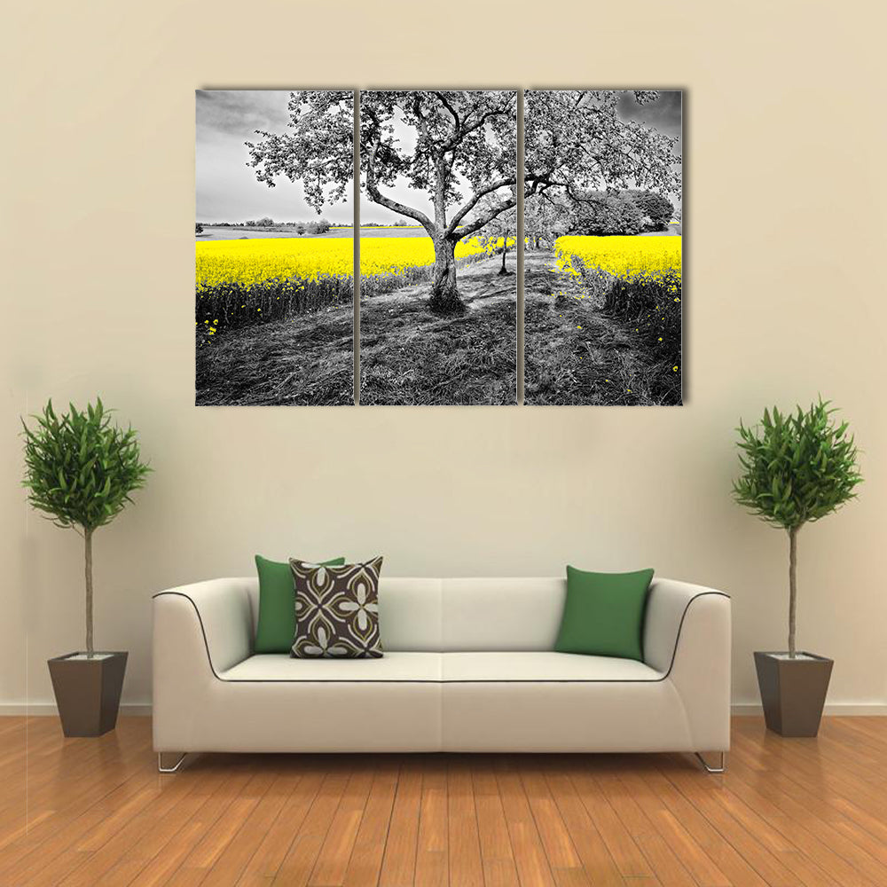 Yellow Canola Field with Large Tree and Path Canvas Wall Art