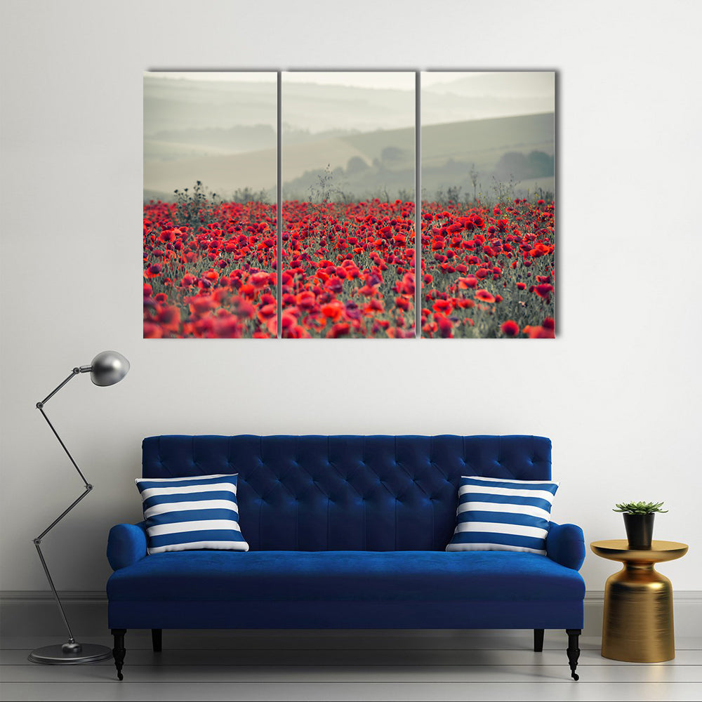 Field of Red Poppies Canvas Wall Art